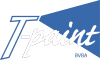 logo T-Paint